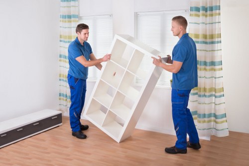 Checklist and moving essentials for a flat removal day