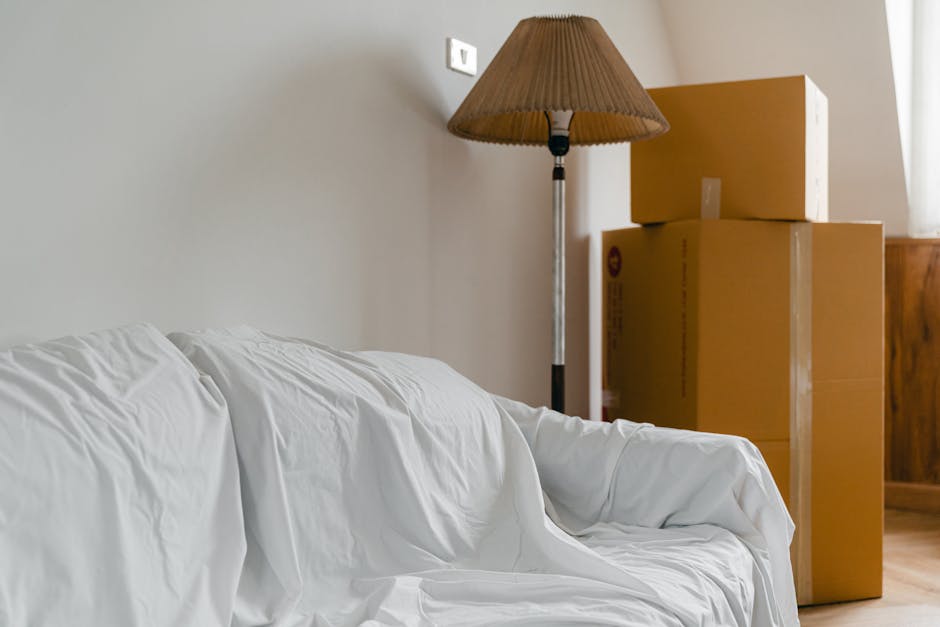 Inside a property during a home relocation process, a professional removals team from Storage East Dulwich is loading a cardboard box and a wrapped piece of furniture onto a white moving van parked ju